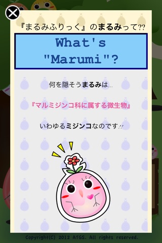 MarumiFlick screenshot 3