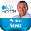 Pedro Reyes Mr. Home