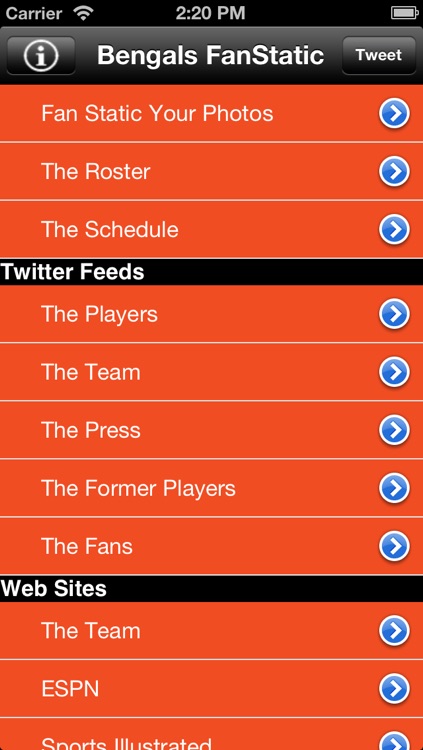 Bengals Fan Static