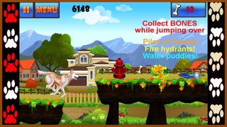 A Dog Run Adventure: Best Super Fun Doge Race Game Free 1.1 IOS -
