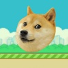 Doge Ball