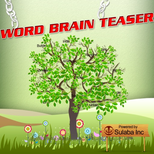 Word Brain Teasers  - Teach, Learn and Quiz English Word