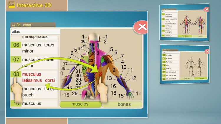 Easy Anatomy 3D screenshot-4