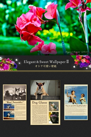 Elegant & Cute Wallpapers Ⅱ screenshot 4