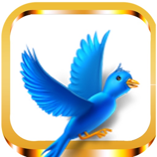 Lumbering Bird Rush Race Free Family Arcade Game iOS App