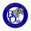 Blue Oak