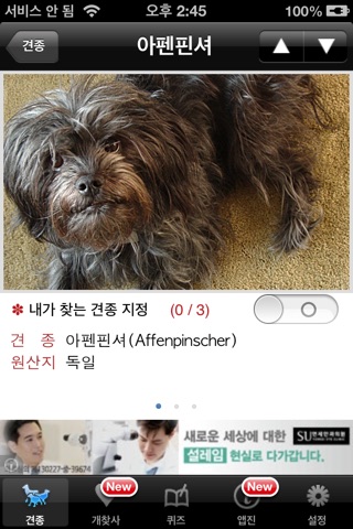 개찾사 – Dog Finder screenshot 3