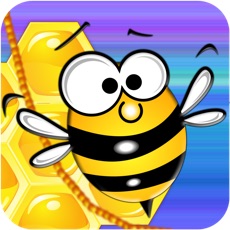 Activities of Fizzy bee