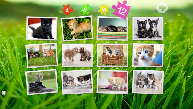 Cats puzzle - fun for kids