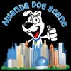 Atlanta Dog Scene