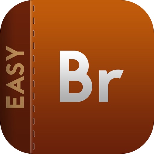 Easy To Use Adobe Bridge Edition iOS App