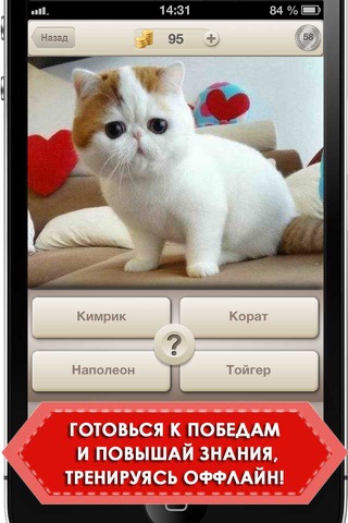 Cats: Guess & Win! screenshot 3