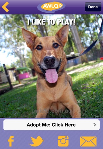 Adopt Meme screenshot 3