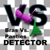 Bras Vs. Panties: Bra and Panty Detector