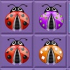 A Dotted Ladybugs Picker