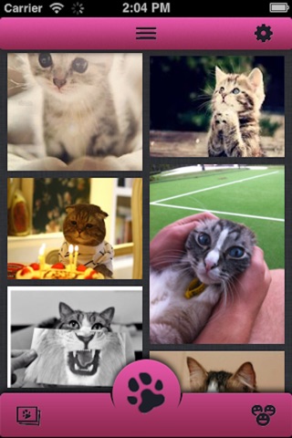 CatSnap screenshot 2