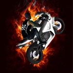 Race, Stunt, Fight, Reload