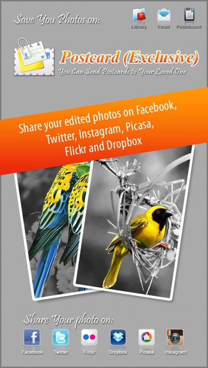 Photo Splash FX - editor with multiple color stroke to splash, colorize, recolor and share on instagram, Facebook & dropbox screenshot-3