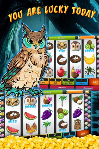 Hoot Slot Machines! Build It Bigger Winning. Play Casino Jackpot DELUXE Catcher screenshot 2