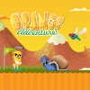 Orange Adventure