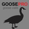 Canada Goose Calls & Goose Sounds for Hunting + BLUETOOTH COMPATIBLE