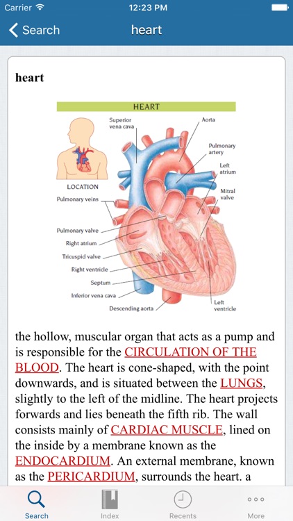 mediLexicon