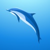 Marine Animals Guide