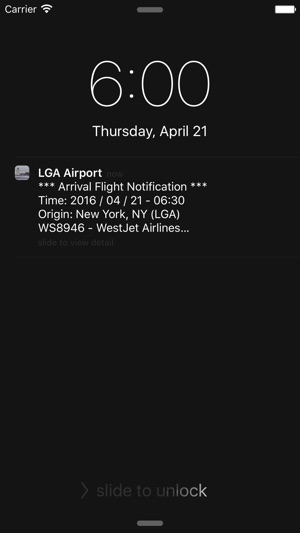 US New York LaGuardia Airport Flight Info(圖4)-速報App