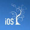iOS面试题大全-点亮您的iOS技能树