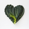Kale 101:Diet,Cooking Recipes and Healthy