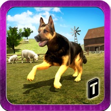 Activities of Shepherd Dog Simulator 3D