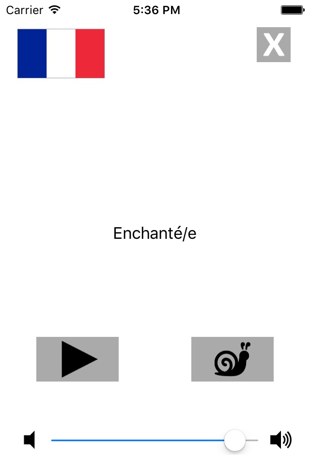 Russian / French Talking Phrasebook Translator Dictionary - Multiphrasebook screenshot 4