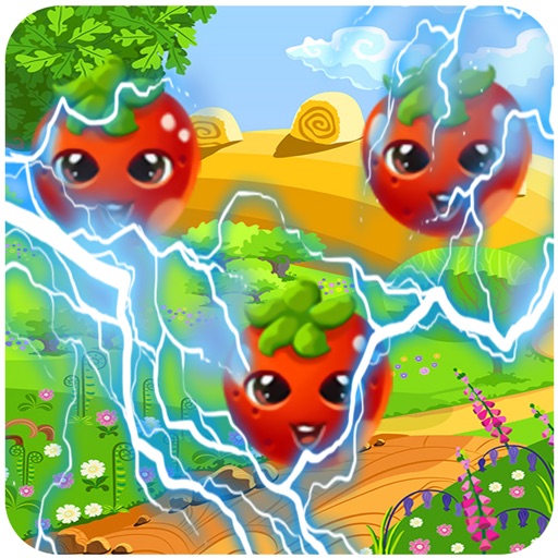 Fruit Splash : Fruit Mania