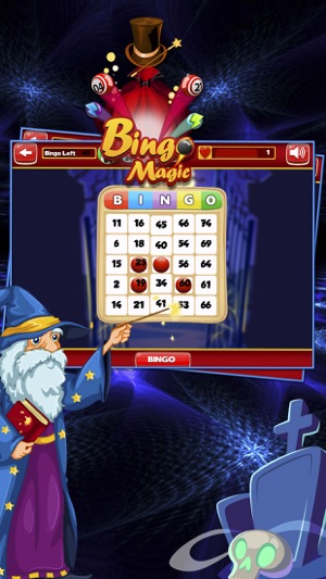 Twin Land for Bingo - Fun Game(圖1)-速報App