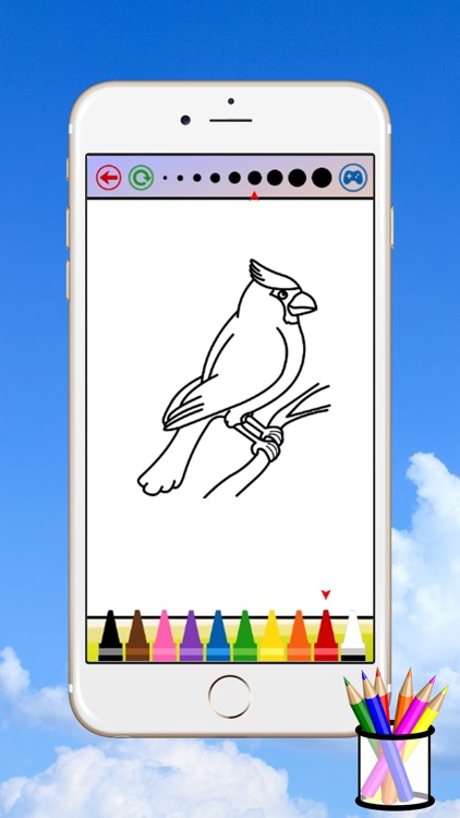 Bird Coloring Book For Kids