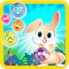 Bubble Shooter Bunny Adventure : Free Bubble Shooter Puzzle Game