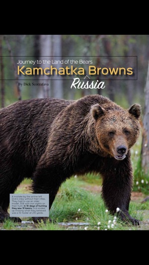 Bear Hunting Magazine(圖4)-速報App