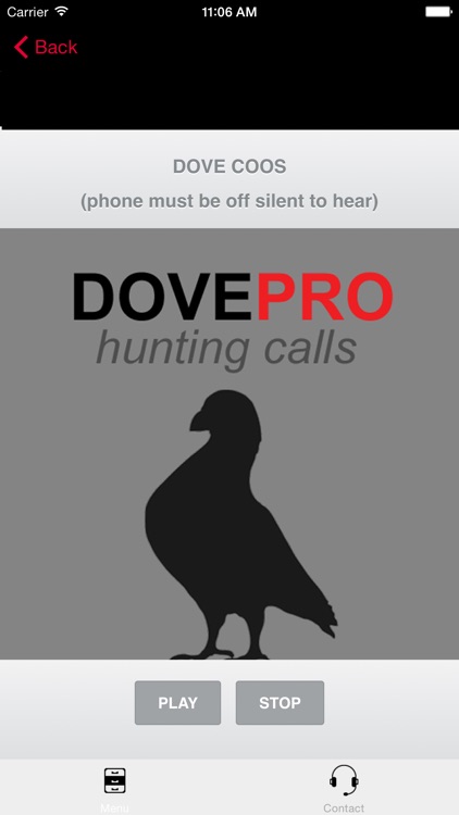 REAL Dove Sounds and Dove Calls for Bird Hunting!