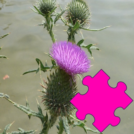 Medicinal Plants Puzzle icon