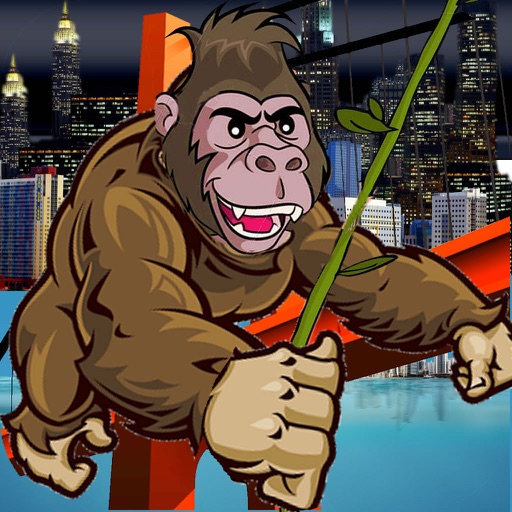 City Monkey Rope - Fun Till Dawn