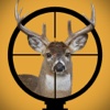 Wild Deer Hunting 2016