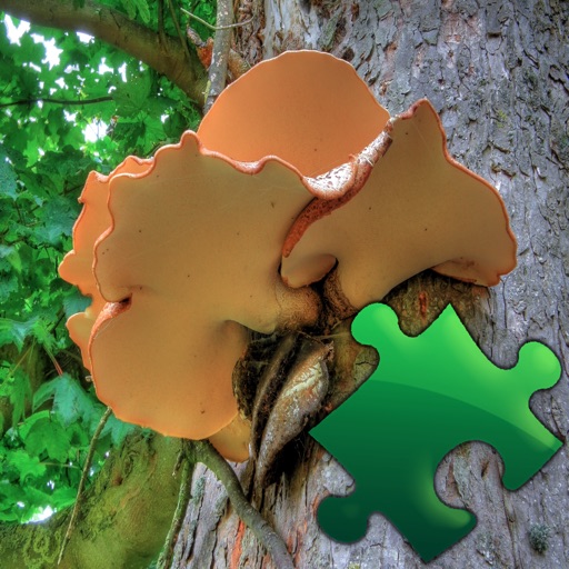 Mushrooms Puzzles icon