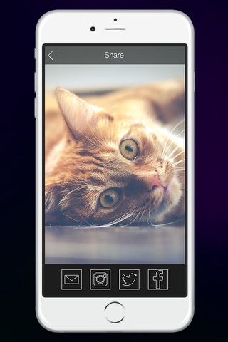 Live Filter Cam Pro Effects screenshot 4