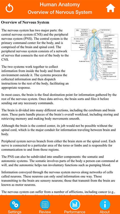 Human Anatomy : Nervous System screenshot-4