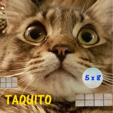 Activities of Taquito game - Math balls kids free mental calculation game