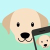 Dog Breed Identifier - Automatically identify a dog breed from a photo