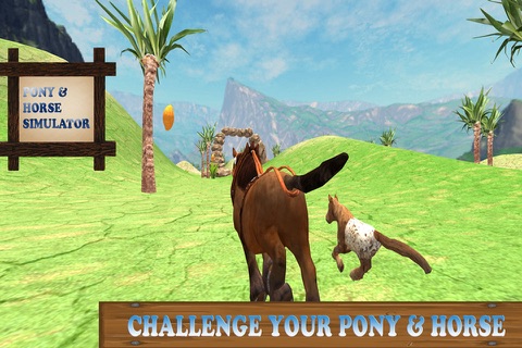 Pony Horse Simulator Kids screenshot 3