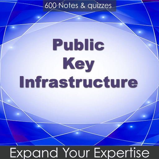 public key Infrastructure icon