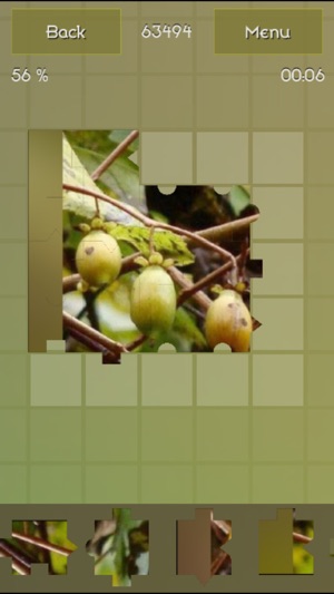 Medicinal Plants Puzzles(圖2)-速報App