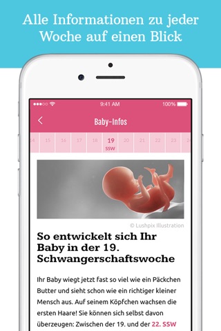 ELTERN Schwangerschaft & Baby screenshot 3